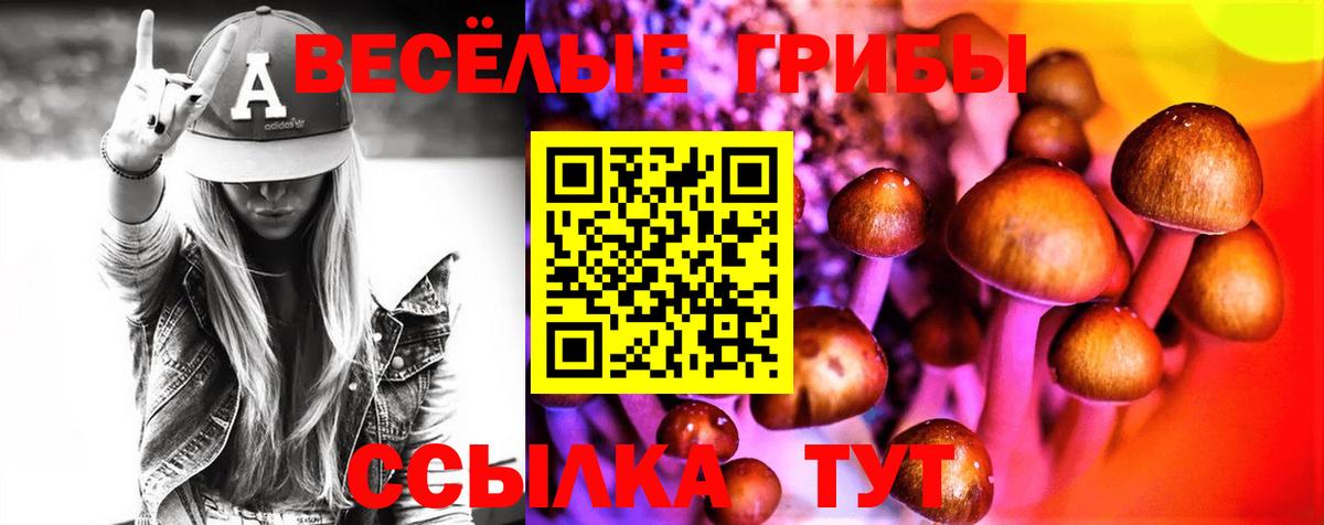 Псилоцибиновые грибы Magic Shrooms Муром